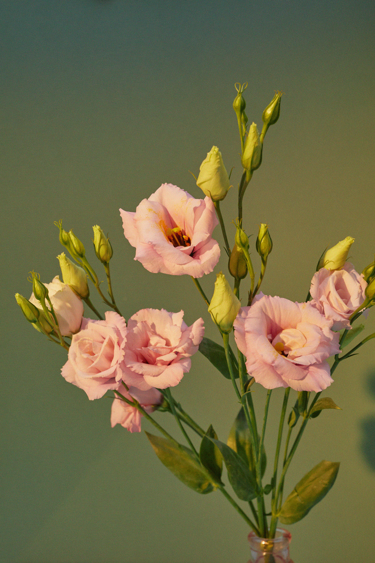 Pink Roses and Buds in Glass Vase